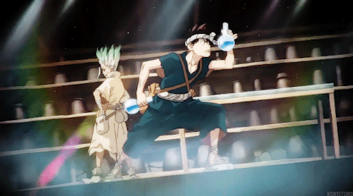 Dr. Stone